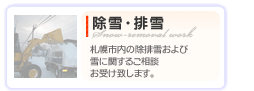 除雪・排雪　有限会社セットアップ